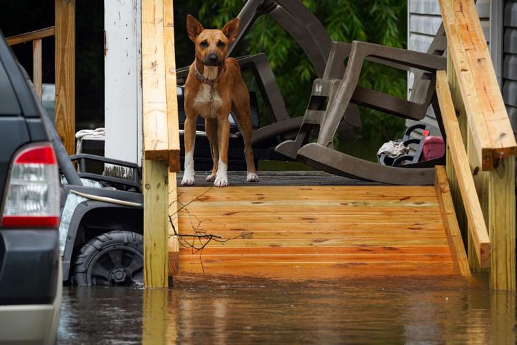 Tropical storm Debby brings tornadoes and more rain to North Carolina after 2nd US landfall